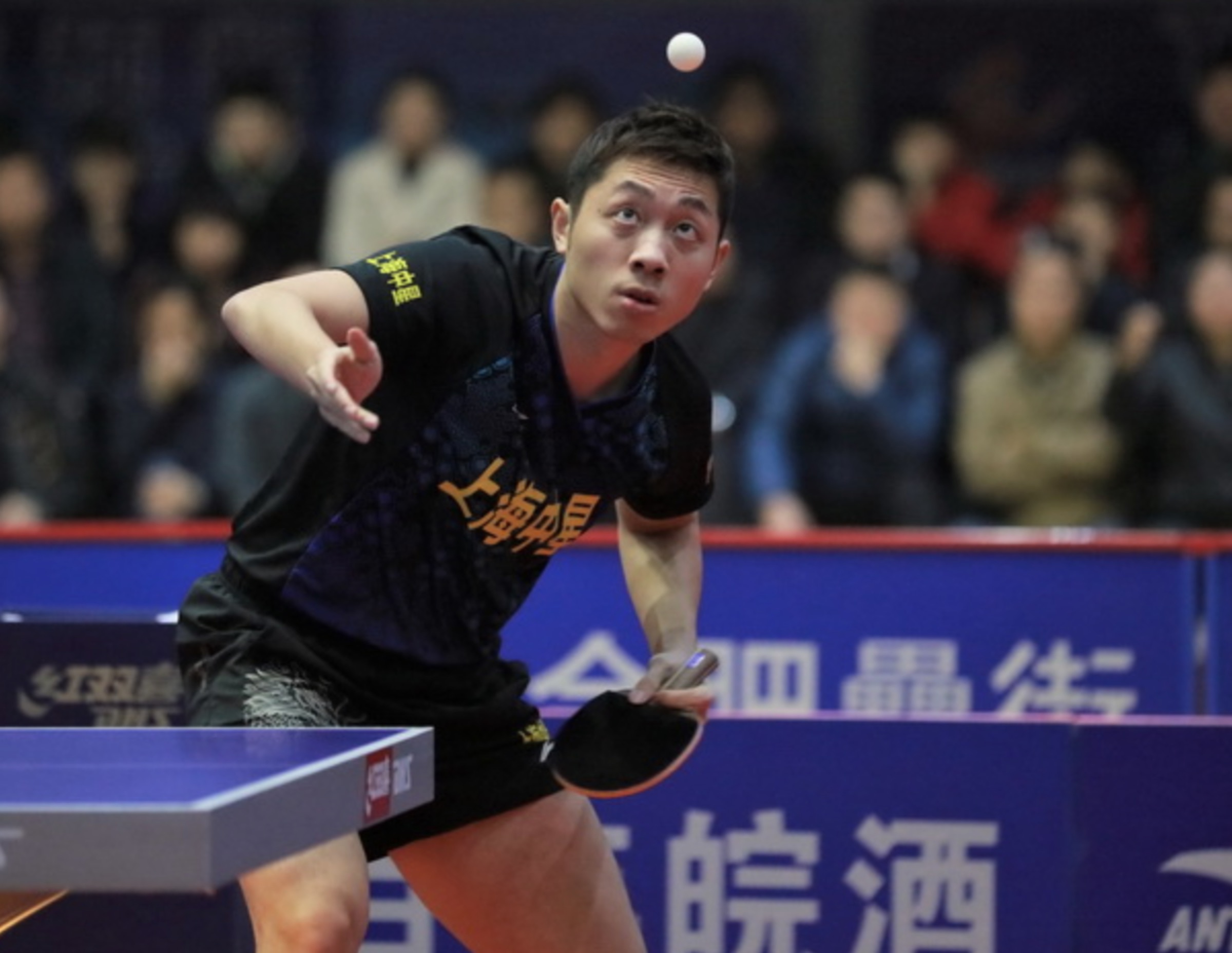 开云体育登录-包含中国乒乓球队完胜比利时乒乓球队，许昕打破历史纪录的词条
