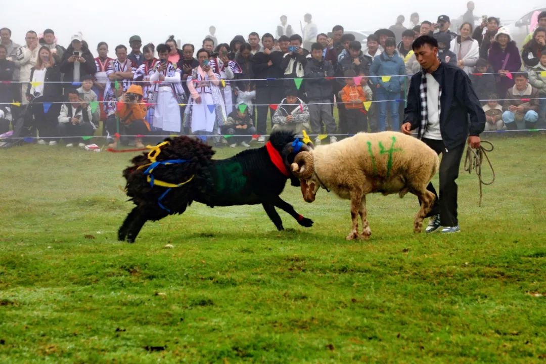 精彩纷呈的比赛画面让人目不暇接，难以眨眼的简单介绍