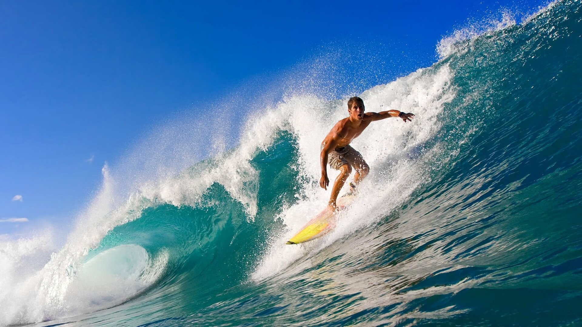 数据统治与战术碾压，欧文率篮网一波流击溃辽宁的背后启示